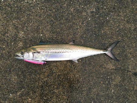 令和元年初日はポーアイで